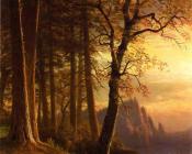 阿尔伯特 比尔施塔特 : Sunset in California Yosemite